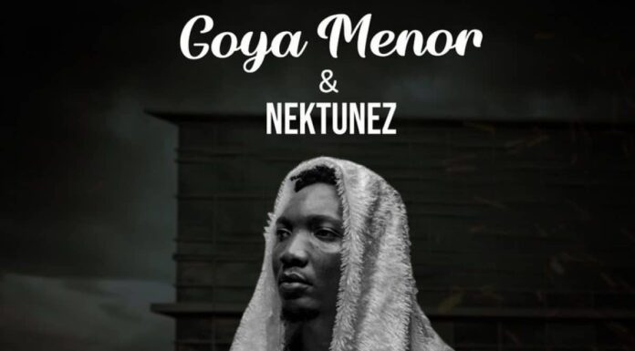 Goya Menor ft Nektunez Ameno Amapiano Remix afiaghana