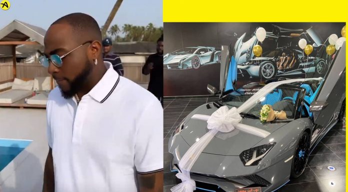 davido lamboghini