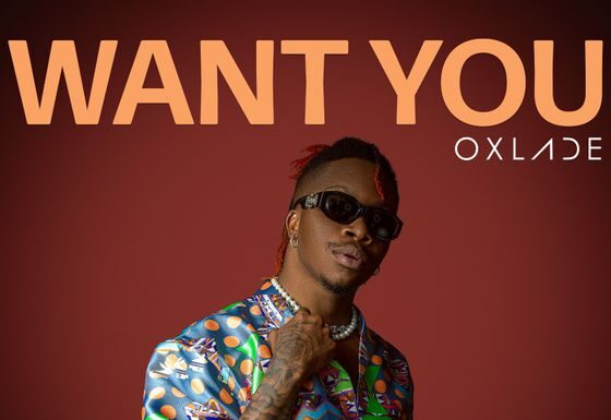 Oxlade Want You Lyrics (Stream audio)