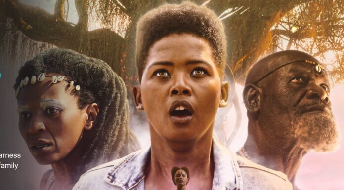 The Brave ones Netflix, Cast, Trailer, Watch & Stream Online