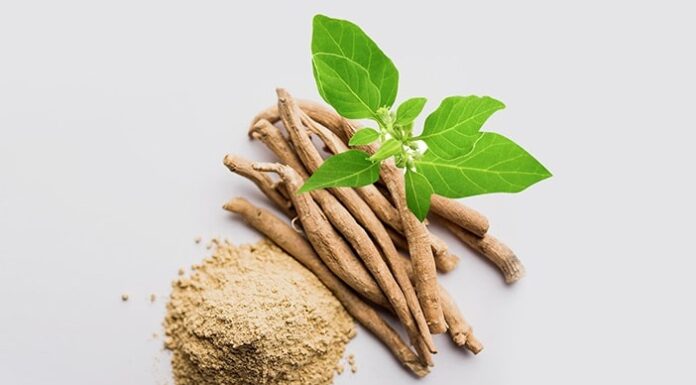 Best Herbs for fertility in Women and Men