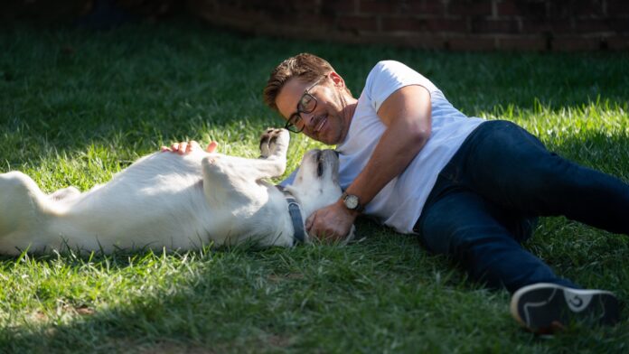 DOG Gone Netflix: Watch Dog Gone Movie Online Free