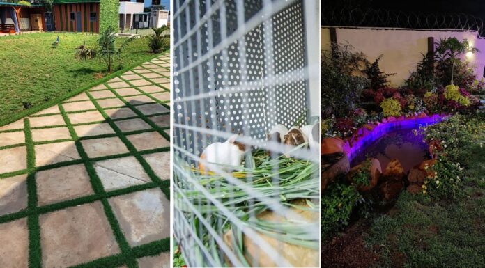 Sesenami Gardens Location, Prices, & Contact (Zoo in Ghana)
