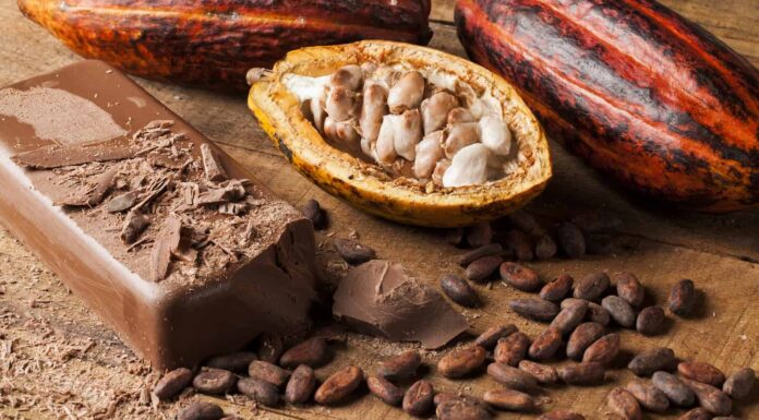 The Origin of Ghana Chocolate: From Bean to Bar Production