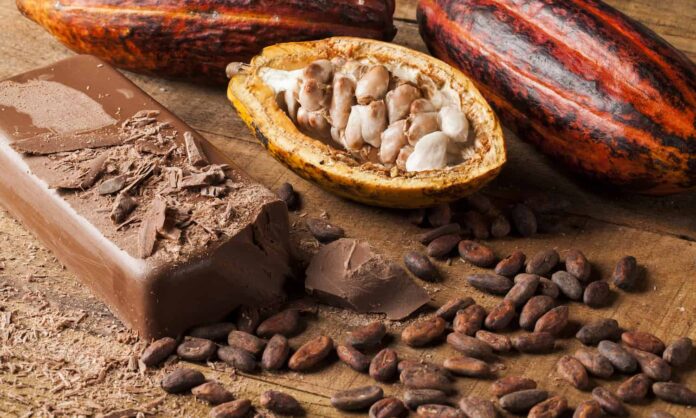 The Origin of Ghana Chocolate: From Bean to Bar Production