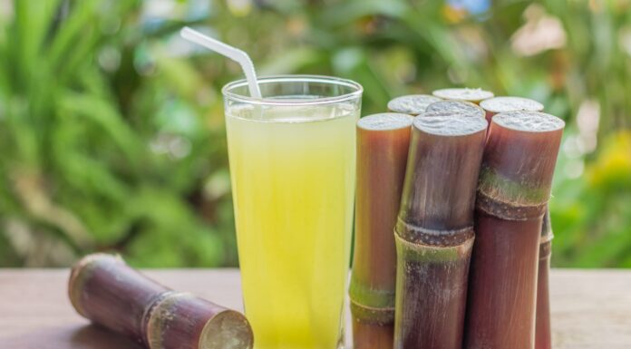 sugarcane business