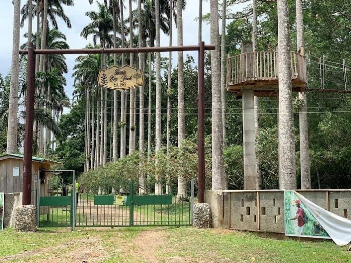 Bunso Eco Park (Bunso Arboretum) Location | Tourist sites in