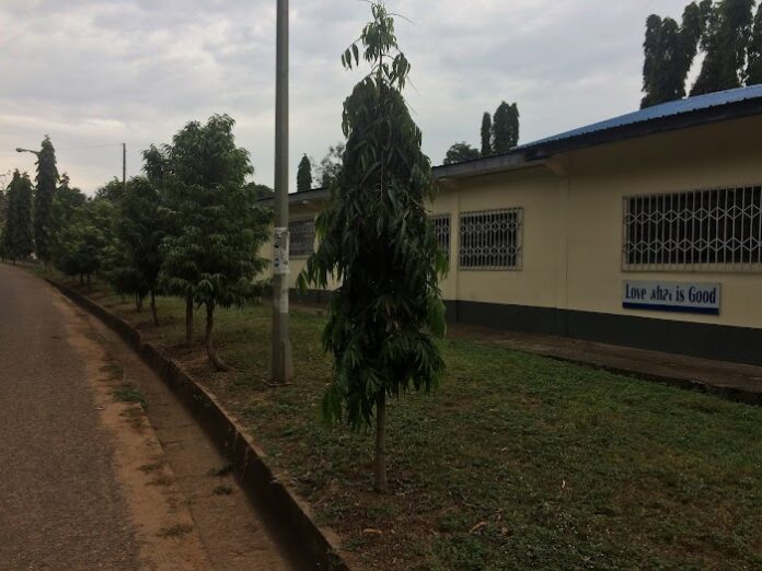 University Junior High School Fees & Location | Best SHS