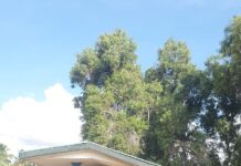 Anlo Senior High School(ANSECO) Fees & Location | Best SHS in Ghana