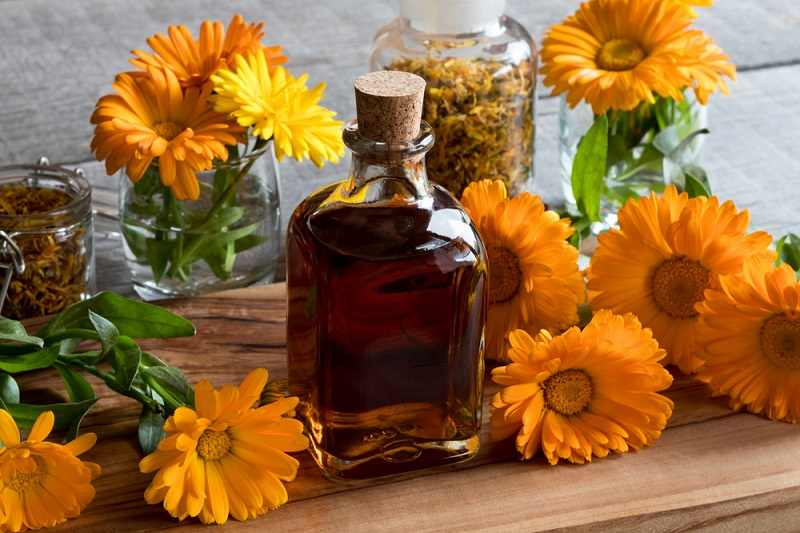 15 Best Natural Herbs and Plants For a Good Skincare routine 19