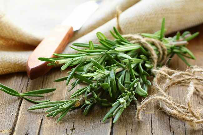 15 Best Natural Herbs and Plants For a Good Skincare routine 15