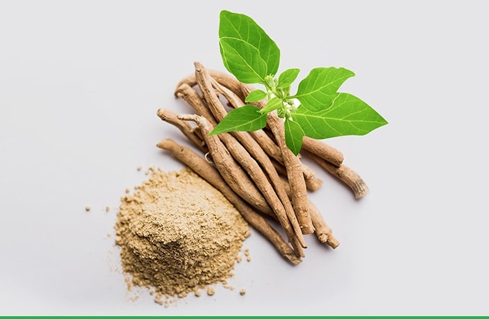 Best Herbs for fertility in Women and Men