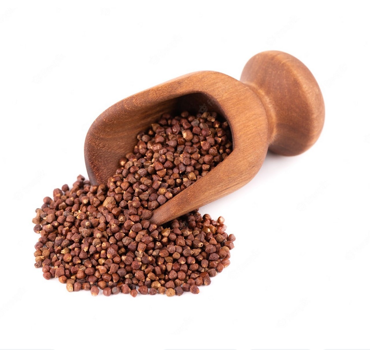 aligator pepper - Ghanaian Herbs for fertility