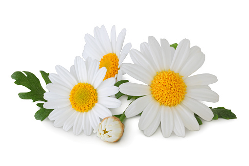 15 Best Fruits and Herbs For Healthy Clear Skin 30